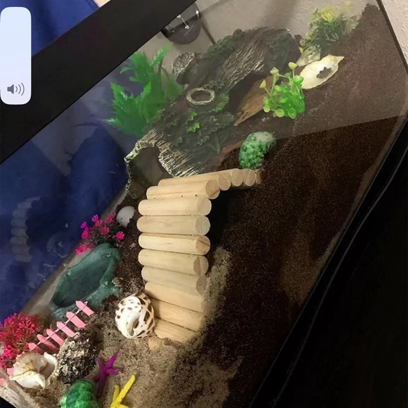 Artificial Plants Used for Hermit Crab Species Aquarium Home Decoration- - Picture 6 of 6